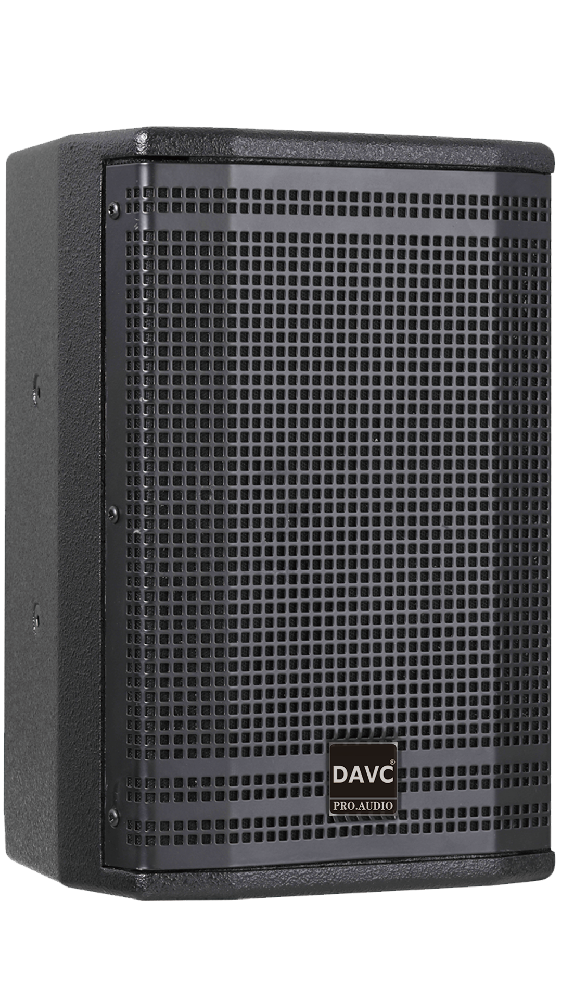 10寸全频音箱 LM10